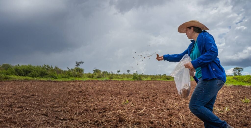 pessoa-semeando-terra